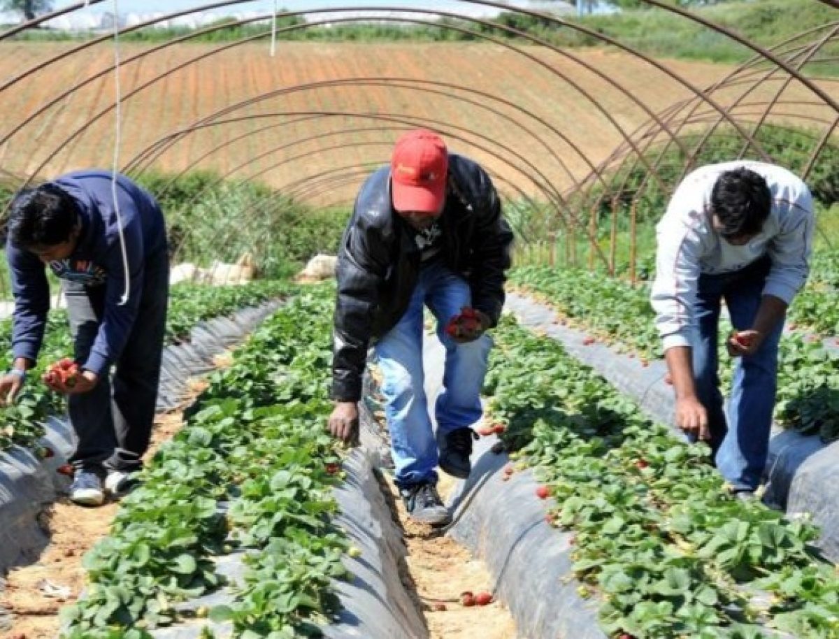 Η Κυβέρνηση παρακάμπτει τον διάλογο στο σοβαρό ζήτημα της αδειοδότησης εργαζομένων από Τρίτες Χώρες • Κοινή δημοσιογραφική διάσκεψη ΣΕΚ,ΠΕΟ,ΔΕΟΚ