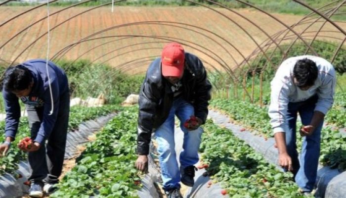 Η Κυβέρνηση παρακάμπτει τον διάλογο στο σοβαρό ζήτημα της αδειοδότησης εργαζομένων από Τρίτες Χώρες • Κοινή δημοσιογραφική διάσκεψη ΣΕΚ,ΠΕΟ,ΔΕΟΚ