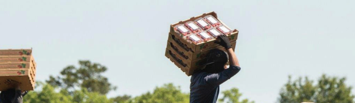 Εκτεθειμένη η Κύπρος από τις συνθήκες διαβίωσης αλλοδαπών εργατών • Αυστηρό σήμα κινδύνου εκπέμπει η ΣΕΚ