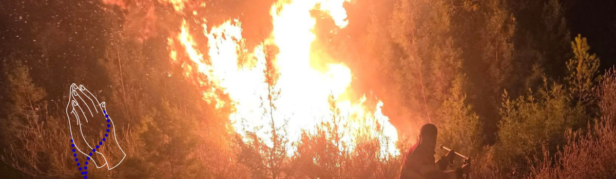 ΣΕΚ: Στο πλευρό των πληγέντων από τις πυρκαγιές