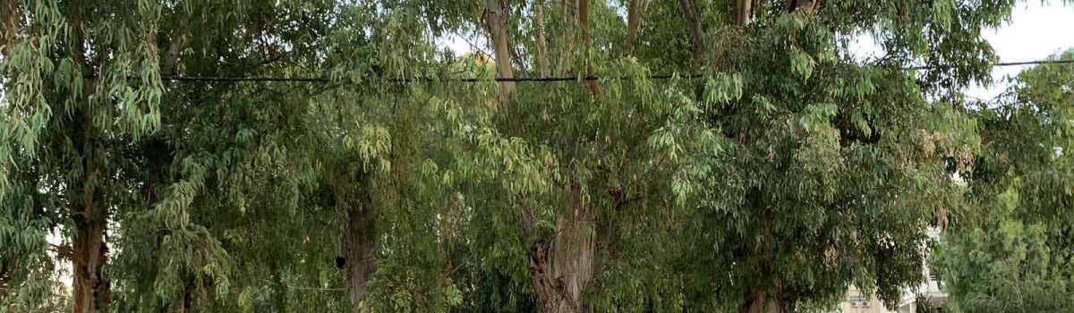 Αυθόρμητη στάση εργασίας σε τρία ξενοδοχεία του ομίλου Atlantica στη Λεμεσό