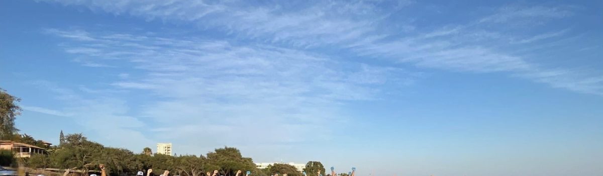 Έμπρακτη περιβαλλοντική δράση από τους επιθεωρητές της ITF στη Λεμεσό