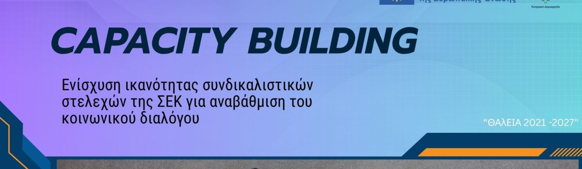 Capacity Building