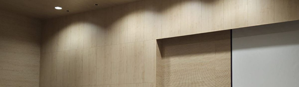 Συνδιάσκεψη Σωματείου Κυβερνητικών Πάφου