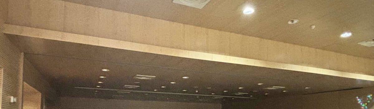 Παιδική Χριστουγεννιάτικη Γιορτή στη ΣΕΚ Πάφου